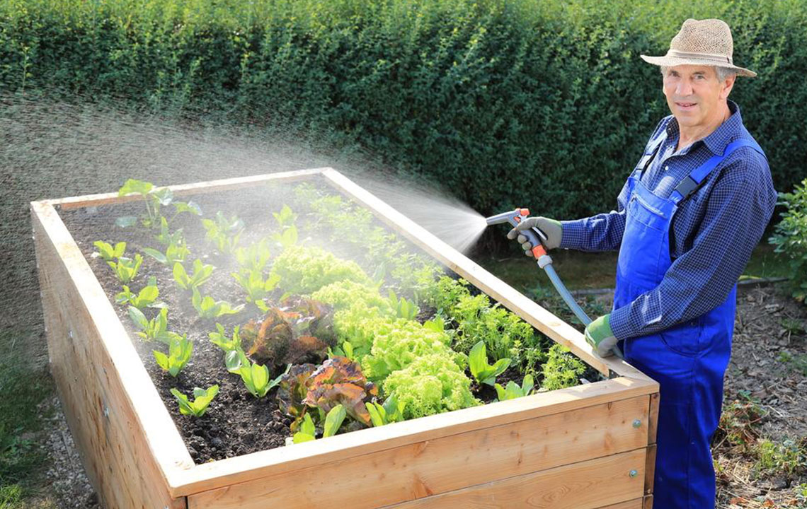 Four smart tips that every newbie gardener should know