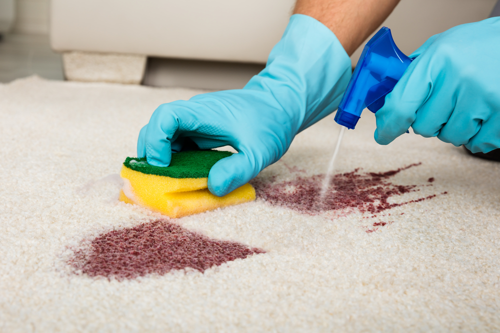 How Do You Choose The Best Carpet Stain Removers