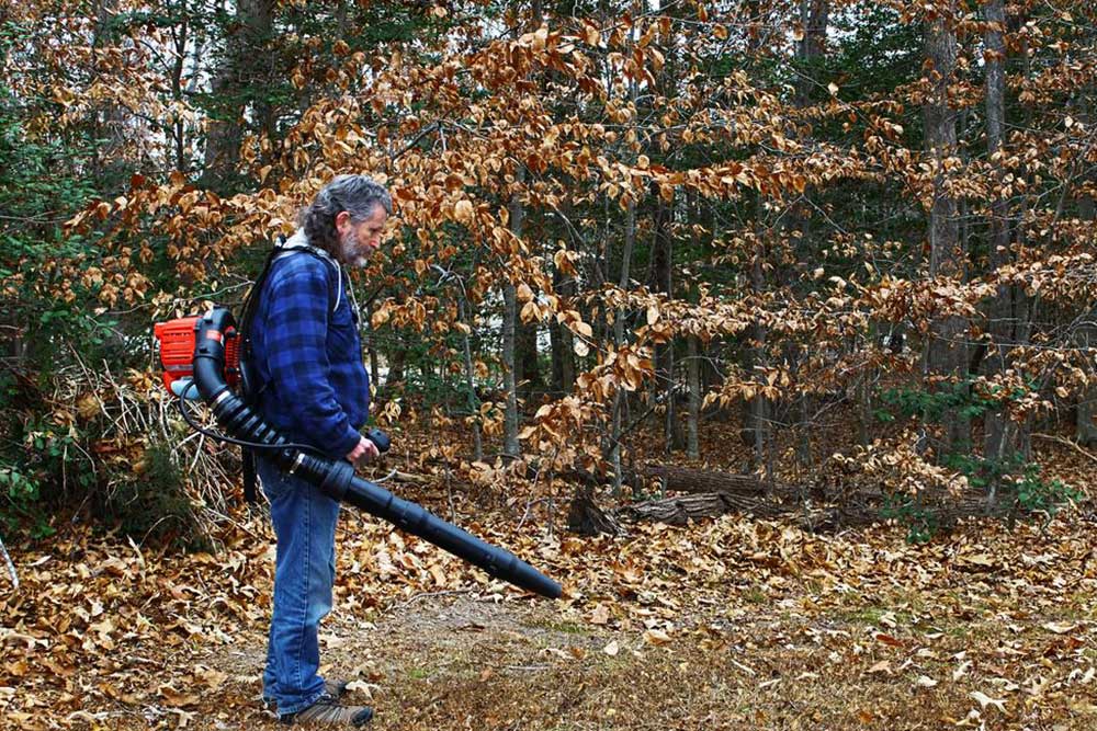 Know about the Types of Leaf Blowers