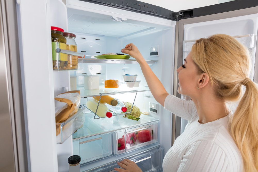 5 best refrigerators to consider this summer